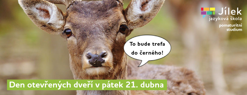 Pomaturitn&iacute; studium Brno