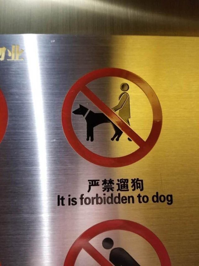 Je zak&aacute;z&aacute;no b&yacute;t psem (?)